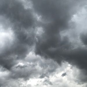 Meet your Posher, Maggie